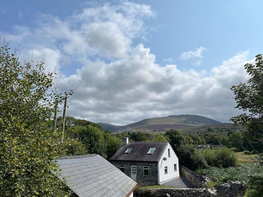 Bryn Rhedyn Cottage Cwm-y-glo Eksteriør billede