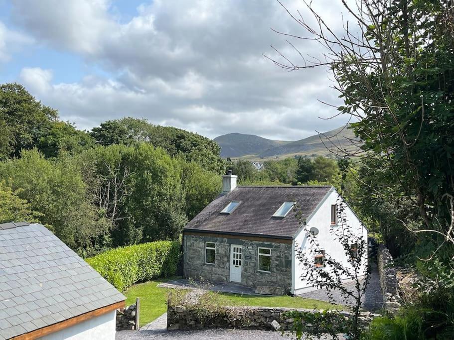 Bryn Rhedyn Cottage Cwm-y-glo Eksteriør billede