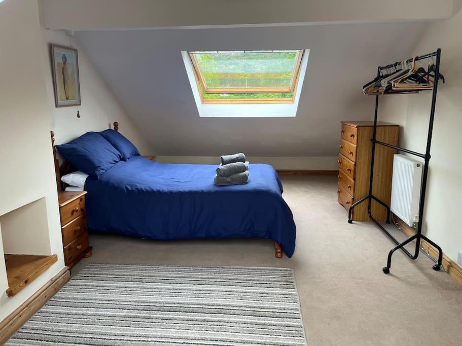 Bryn Rhedyn Cottage Cwm-y-glo Eksteriør billede