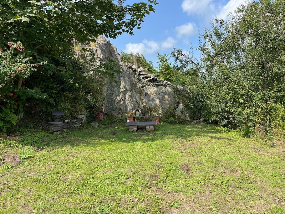 Bryn Rhedyn Cottage Cwm-y-glo Eksteriør billede